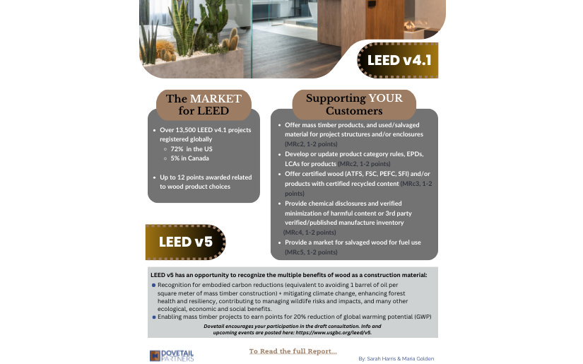 LEED v4.1 Infographic